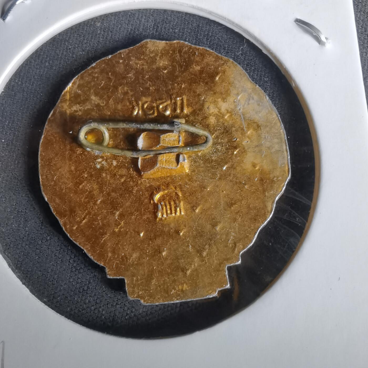 沼泽如烟--第1010场 纪念章