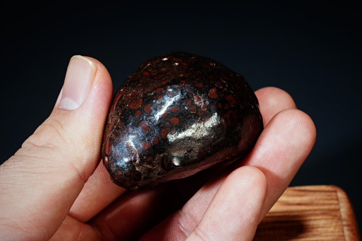 上海都达杂项专场四十四【全场包邮】  陨石 连座91-93