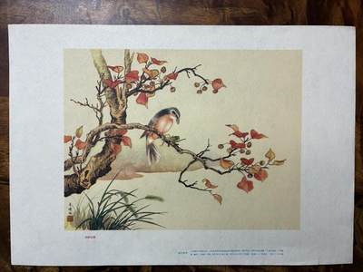 情怀旧藏儿时记忆经典收藏交流拍卖会 - 张守成绘画鸟柏伯劳老年画宣传画