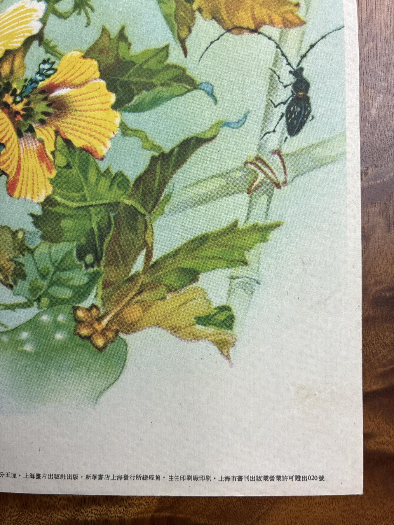 情怀旧藏儿时记忆经典收藏交流拍卖会 何逸梅绘画秋葵老年画宣传画