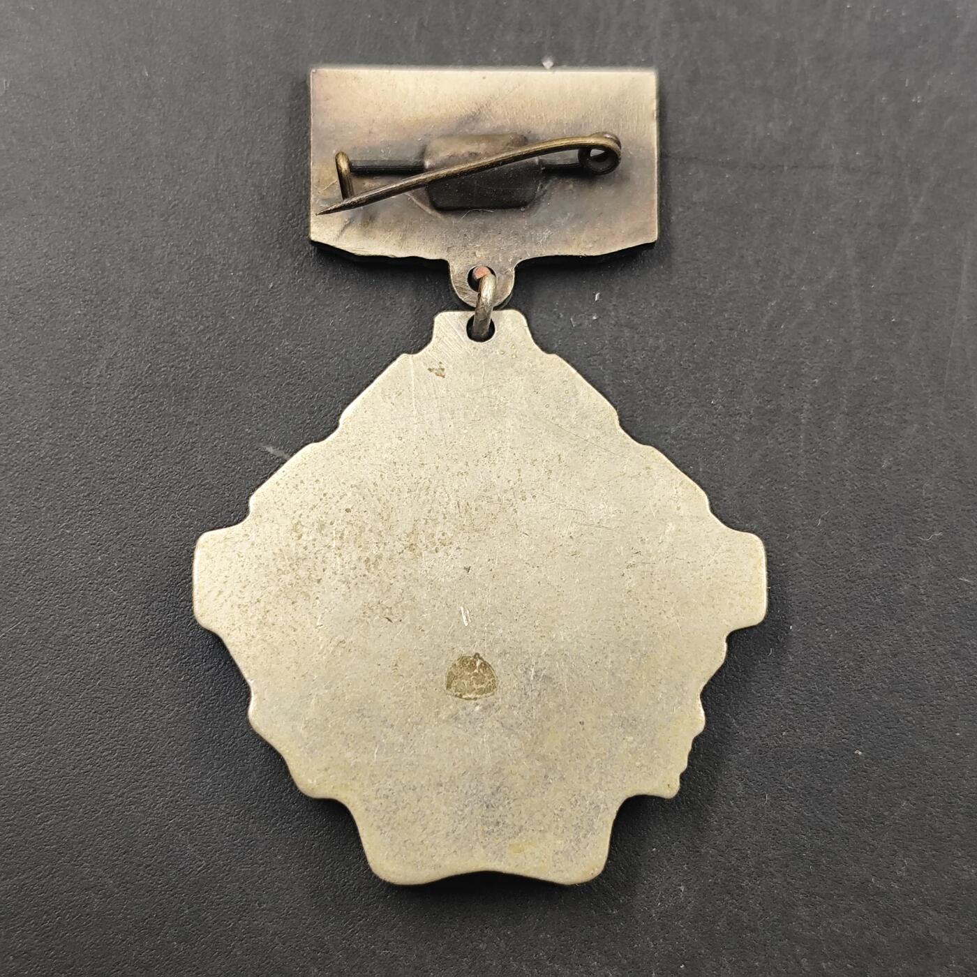 3月徽章钱币专场（明天继续更新） 苏联北极航线护航队参与者50周年纪念章