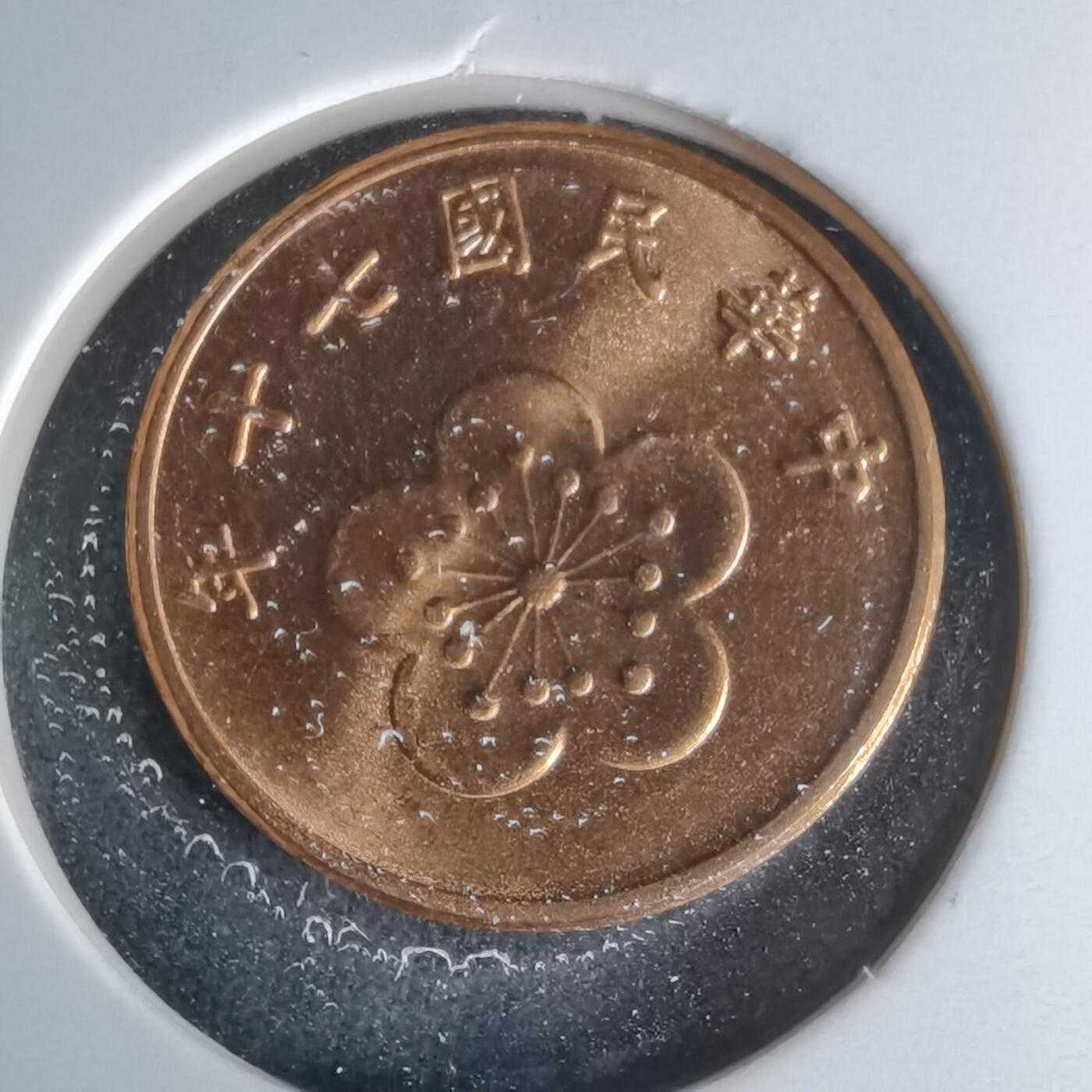 沼泽如烟--第1009场