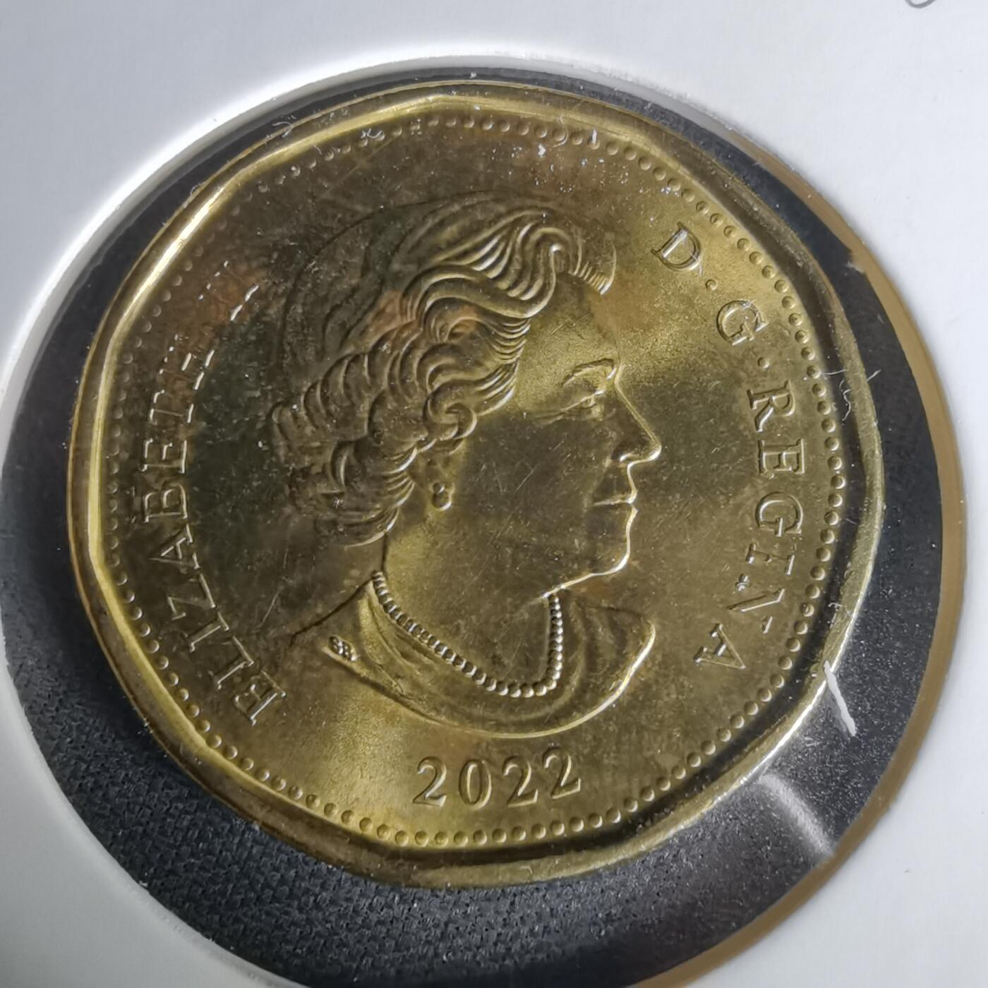 沼泽如烟--第1010场 加拿大2022年一元