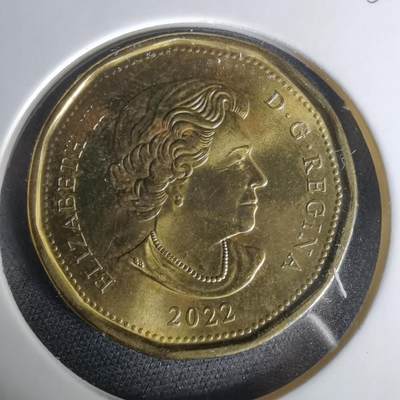 沼泽如烟--第1010场 - 加拿大2022年一元