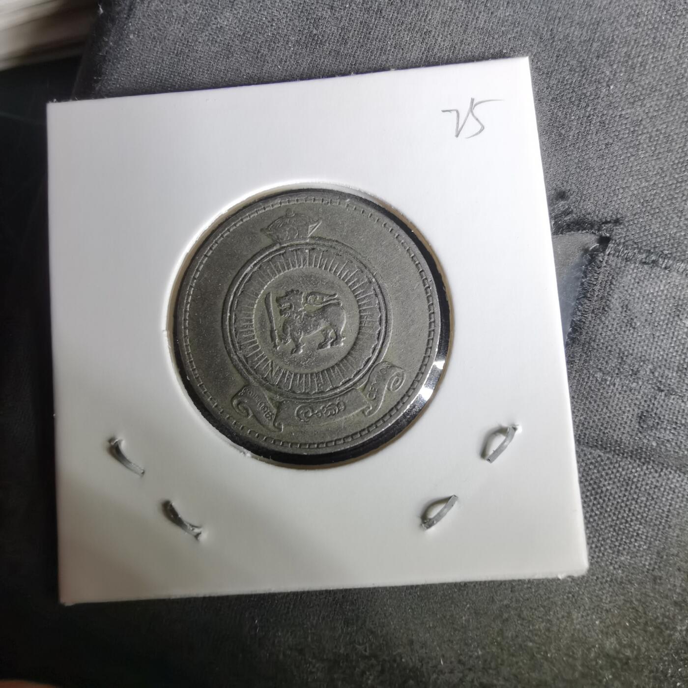 沼泽如烟--第1010场