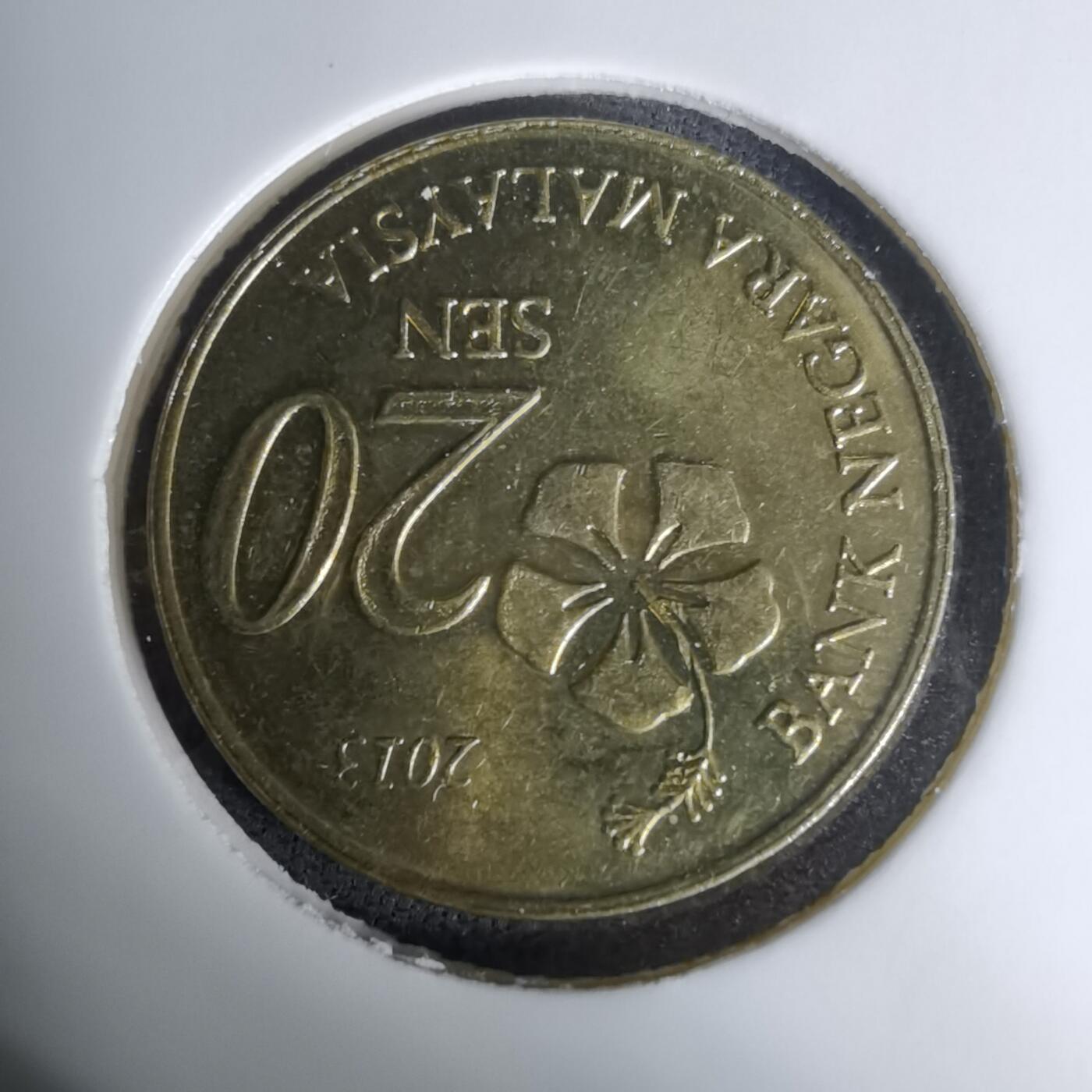 沼泽如烟--第1009场