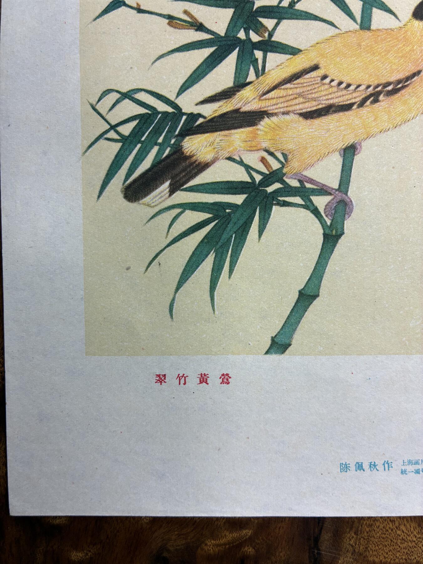 情怀旧藏儿时记忆经典收藏交流拍卖会 陈佩秋绘画翠竹黄莺老年画宣传画