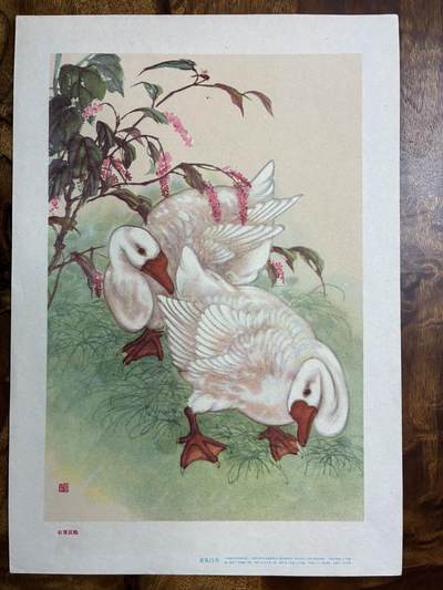情怀旧藏儿时记忆经典收藏交流拍卖会 - 蒋風白绘画红蓼双鹅老年画宣传画