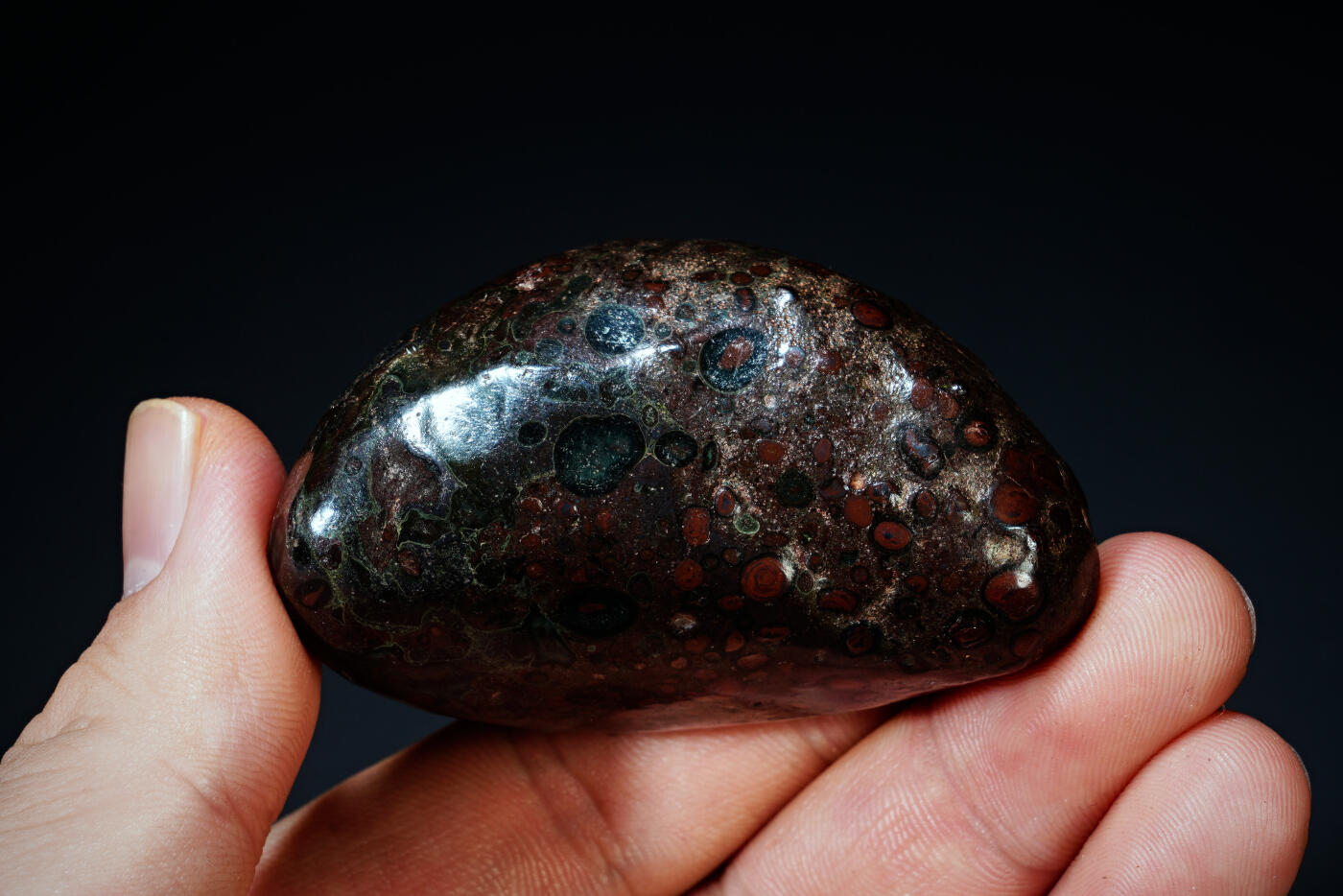 上海都达杂项专场四十四【全场包邮】  陨石 连座91-93