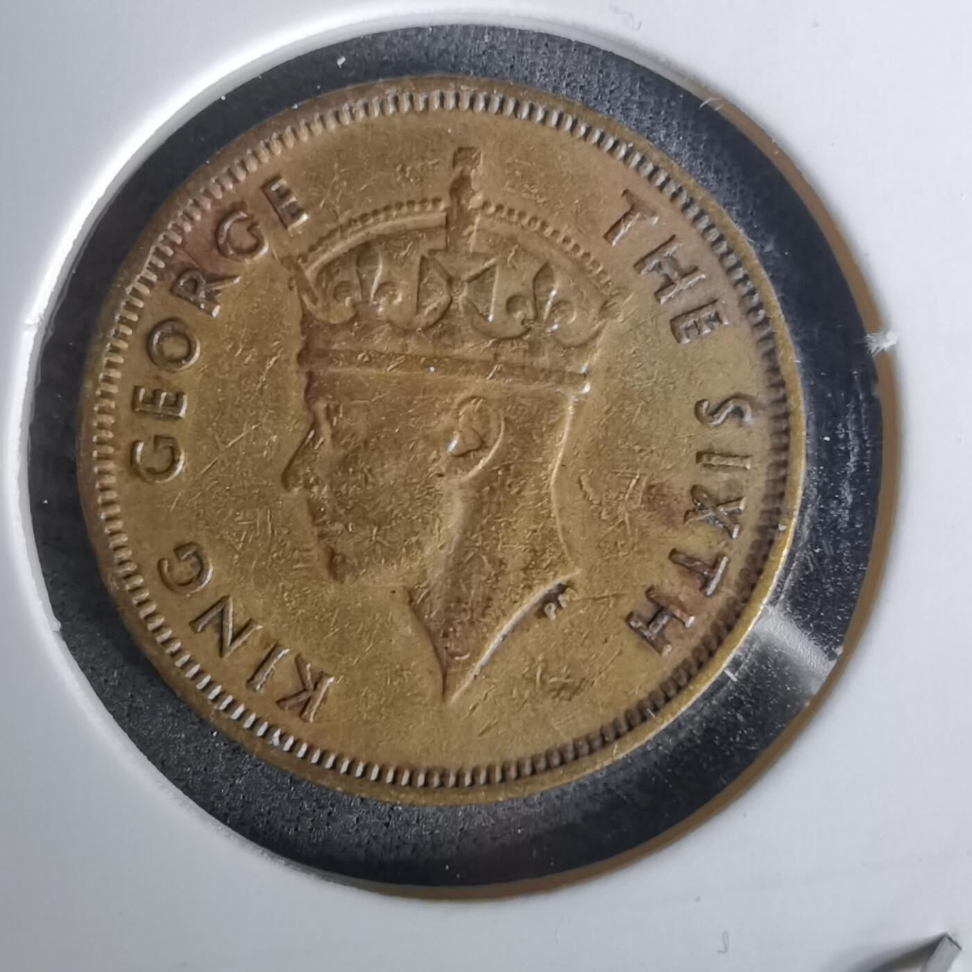 沼泽如烟--第1010场