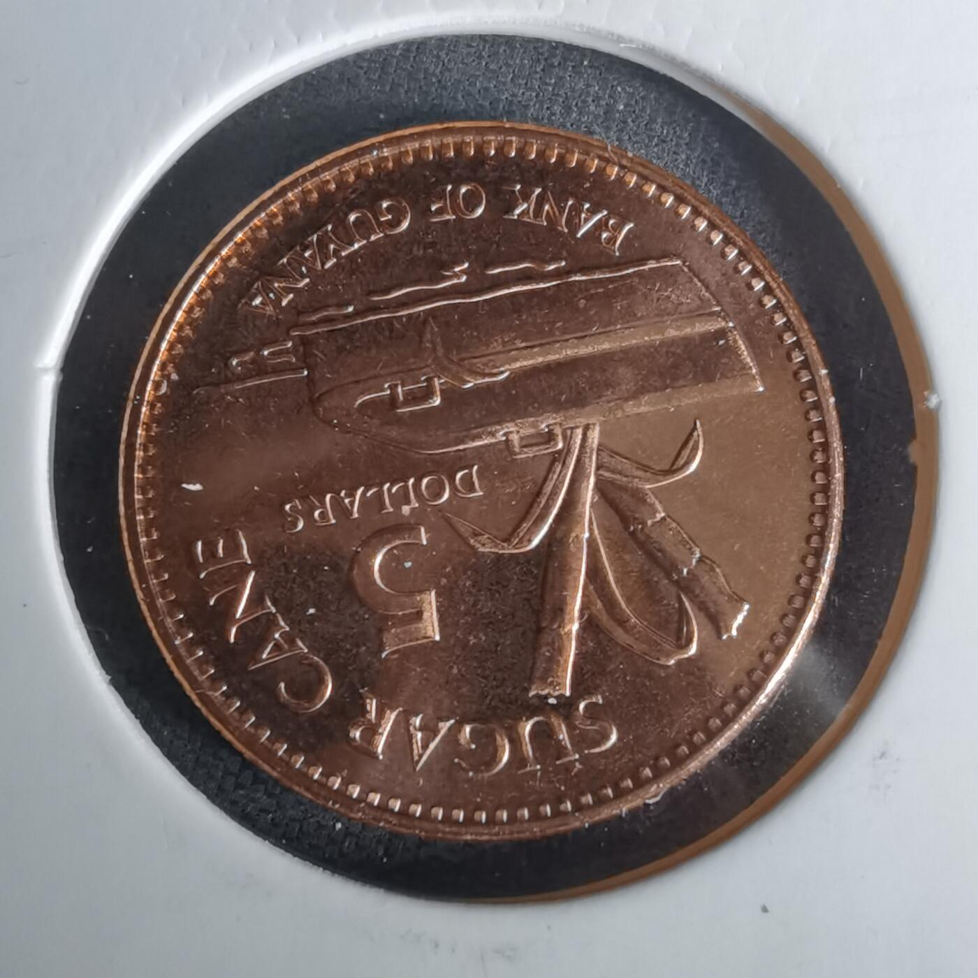 沼泽如烟--第1010场 圭亚那2019年5元