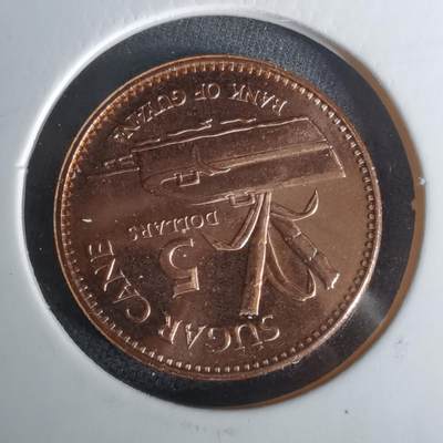 沼泽如烟--第1010场 - 圭亚那2019年5元