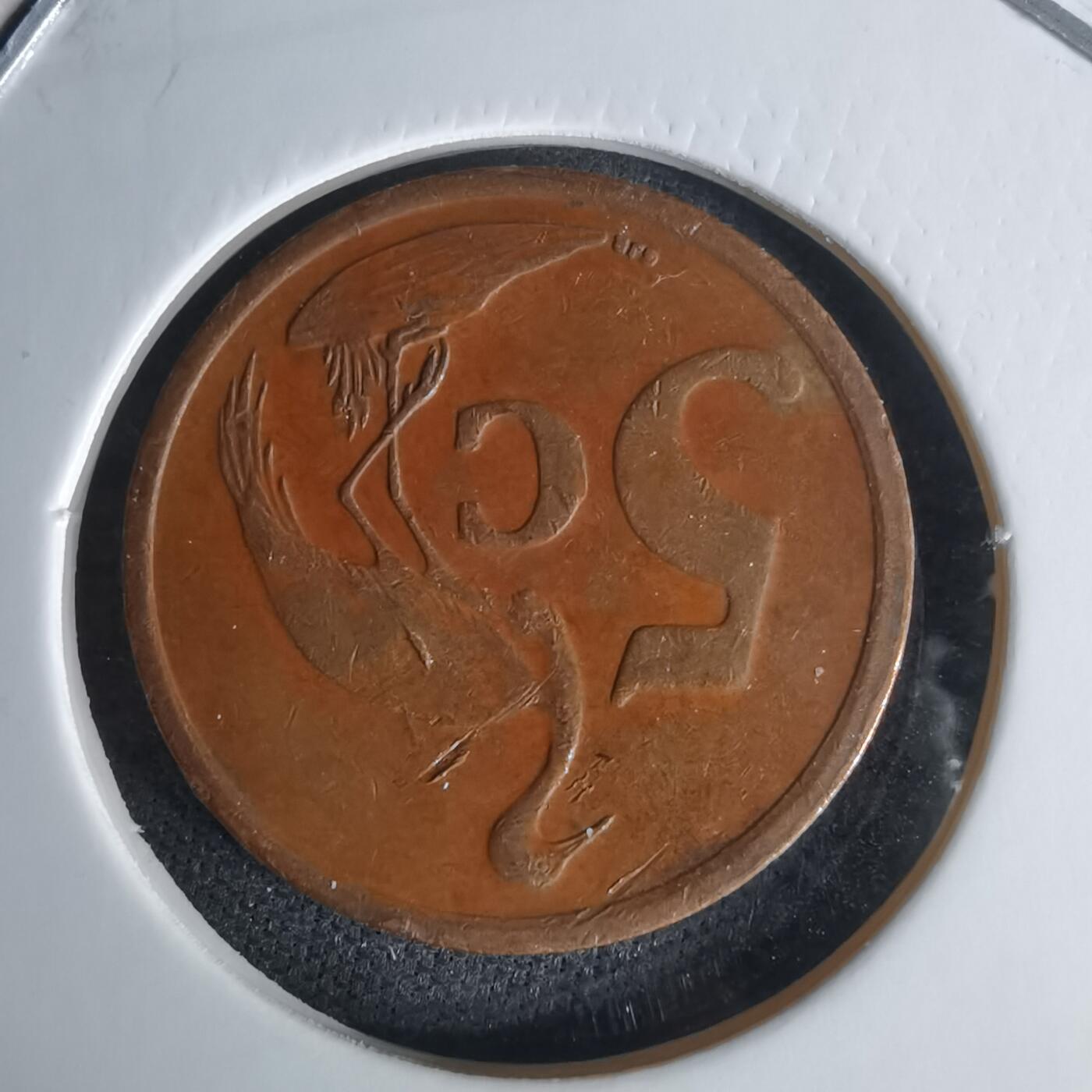 沼泽如烟--第1009场