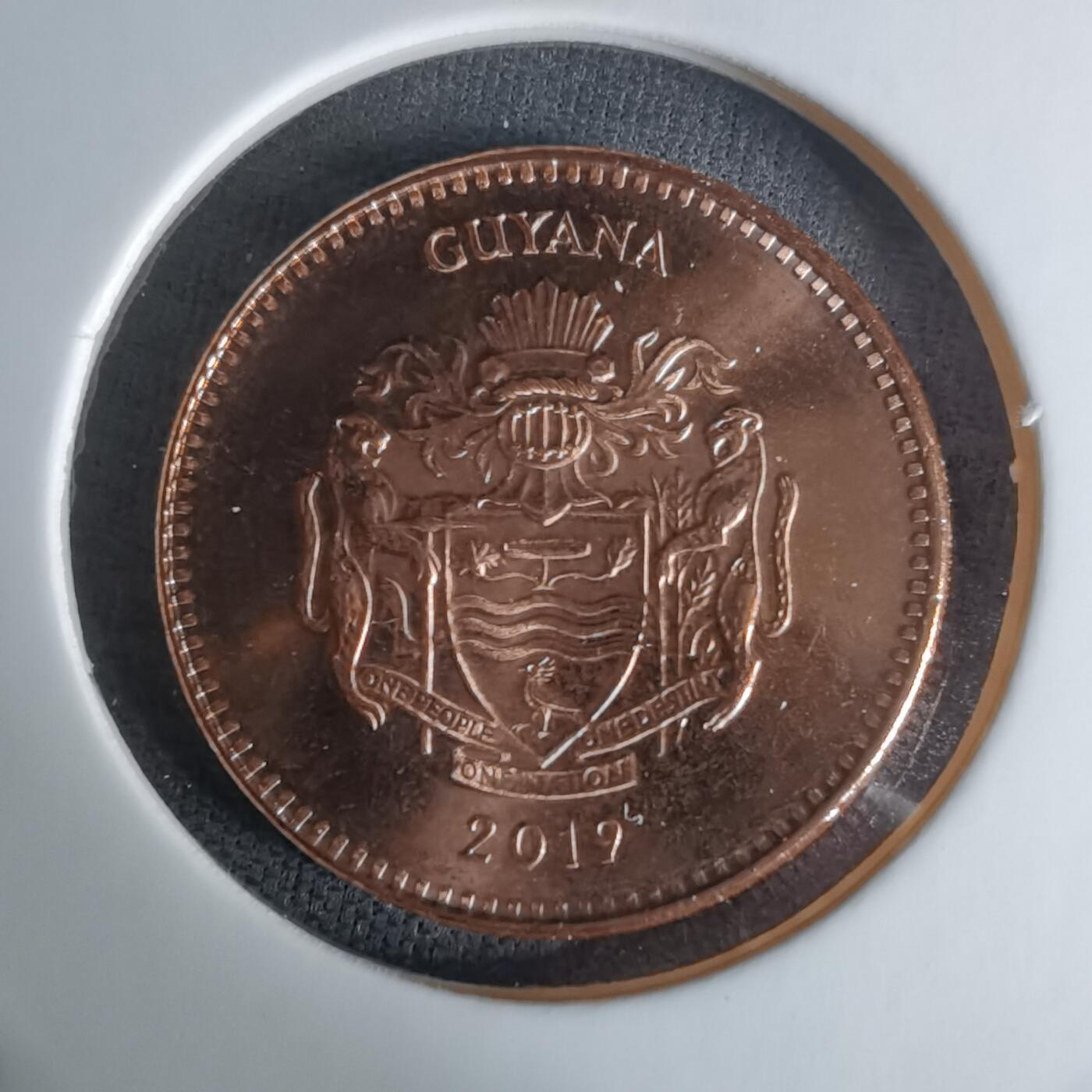 沼泽如烟--第1009场 圭亚那2019年五元