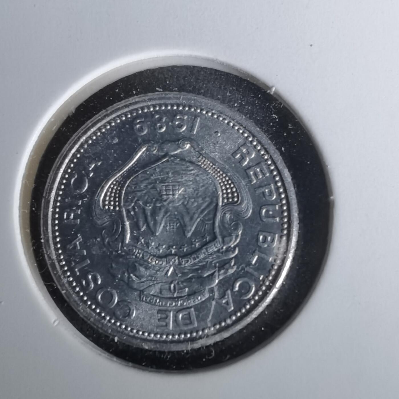 沼泽如烟--第1010场