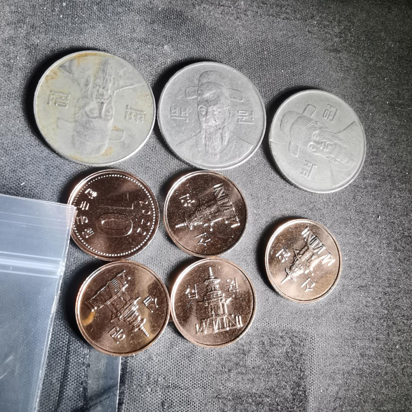 沼泽如烟--第1010场