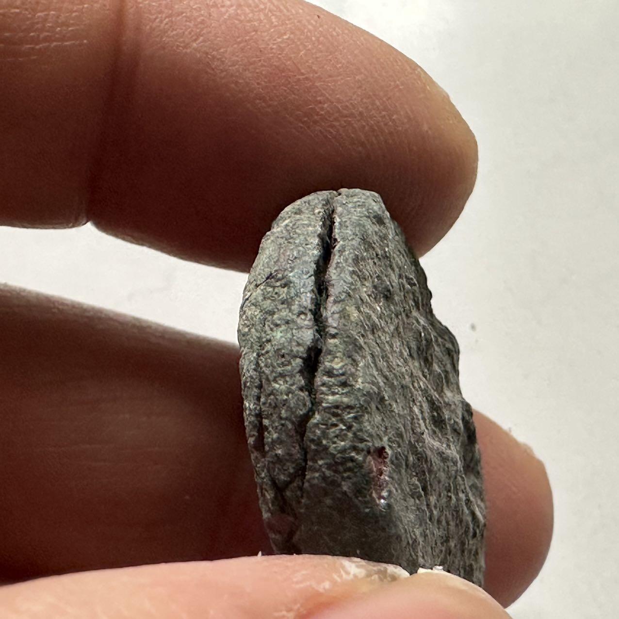 🌹外币初藏🌹🐯2026年第24场  每周二四六晚8️⃣点 接代拍 罗马帝国公元1世纪Dupondius铜币 SC双圈 直径28mm 重20.3g 残裂生坑