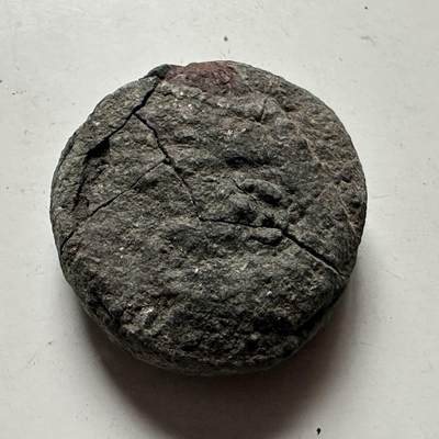 🌹外币初藏🌹🐯2026年第24场  每周二四六晚8️⃣点 接代拍 - 罗马帝国公元1世纪Dupondius铜币 SC双圈 直径28mm 重20.3g 残裂生坑