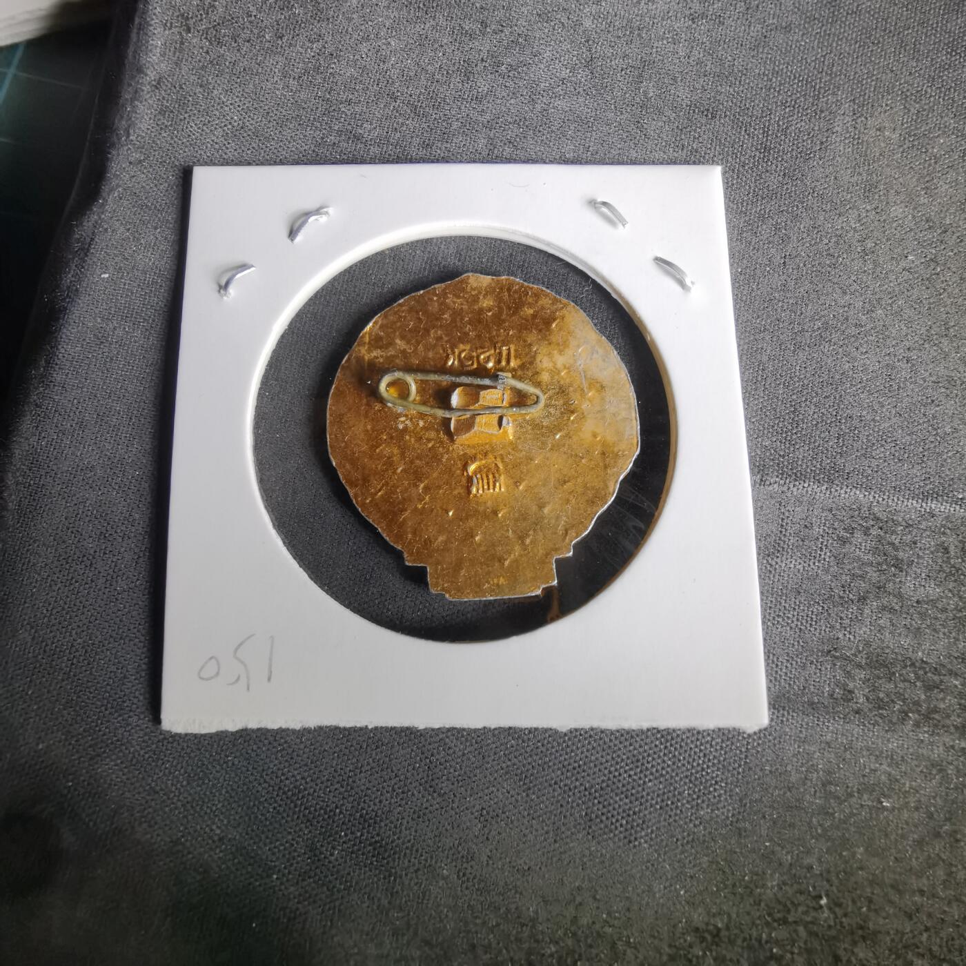 沼泽如烟--第1010场 纪念章