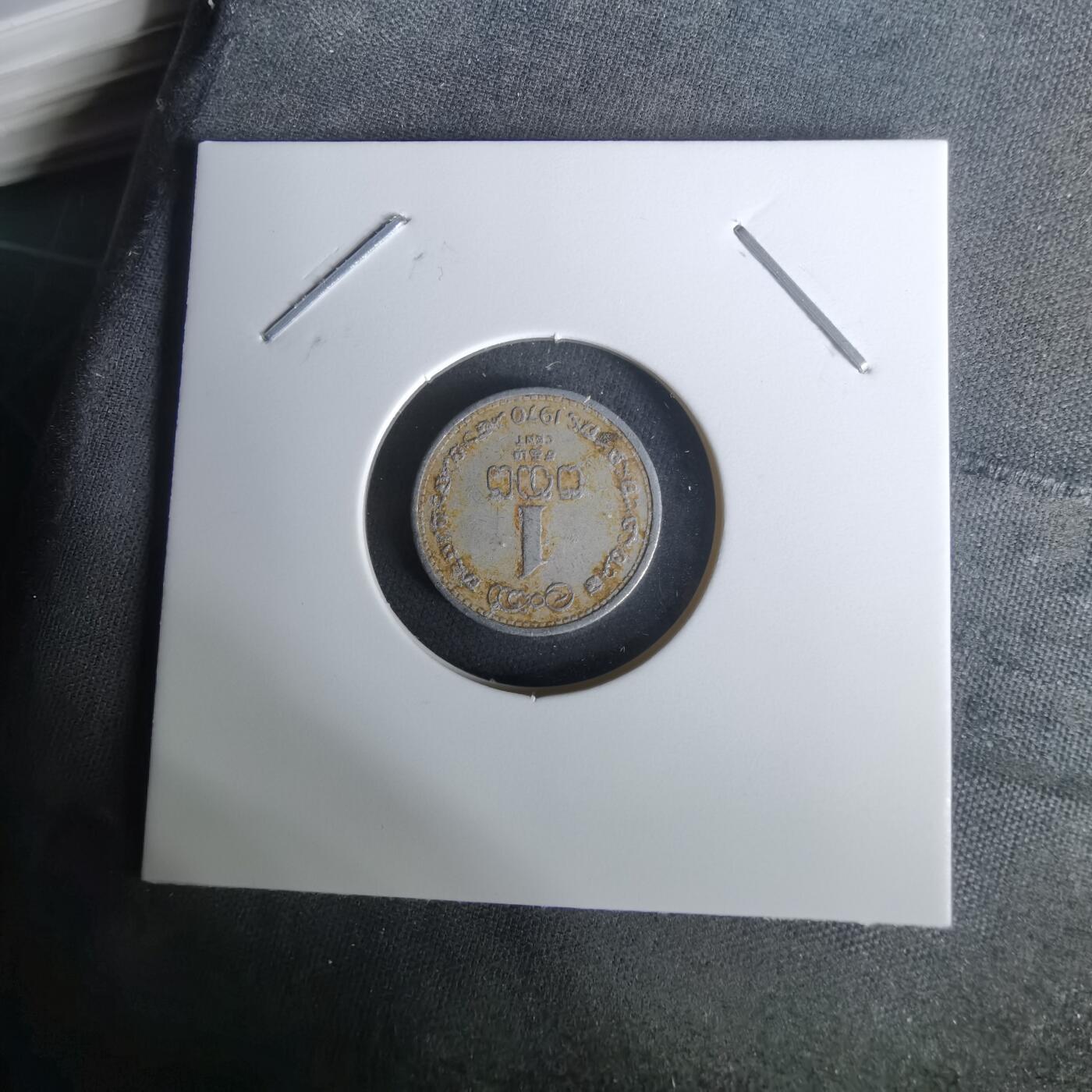 沼泽如烟--第1010场