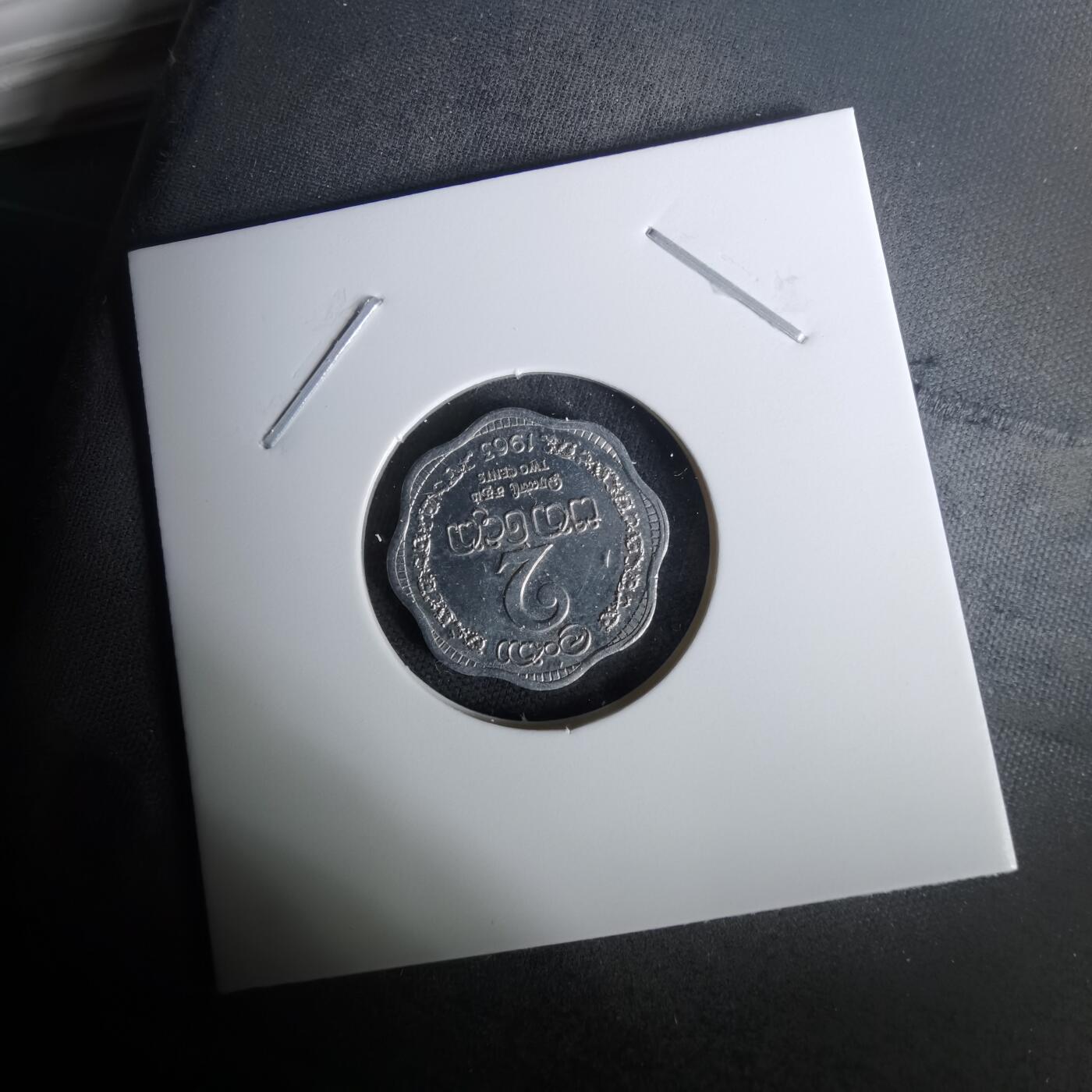 沼泽如烟--第1010场