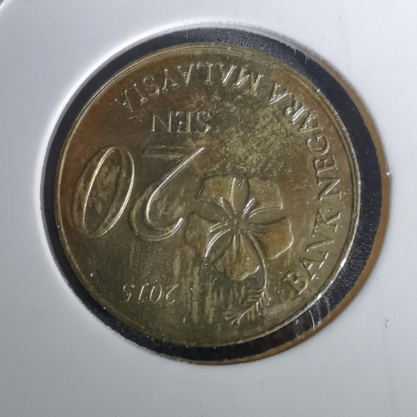 沼泽如烟--第1010场