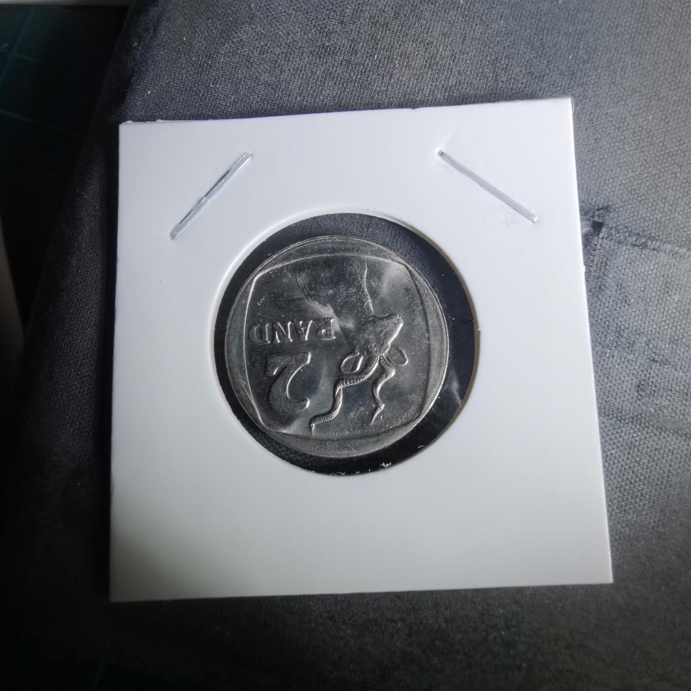 沼泽如烟--第1010场