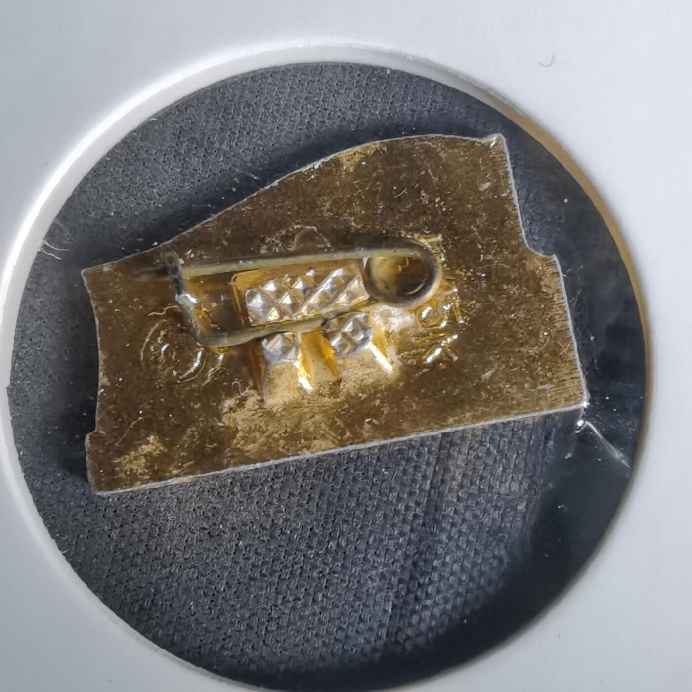 沼泽如烟--第1010场 纪念章