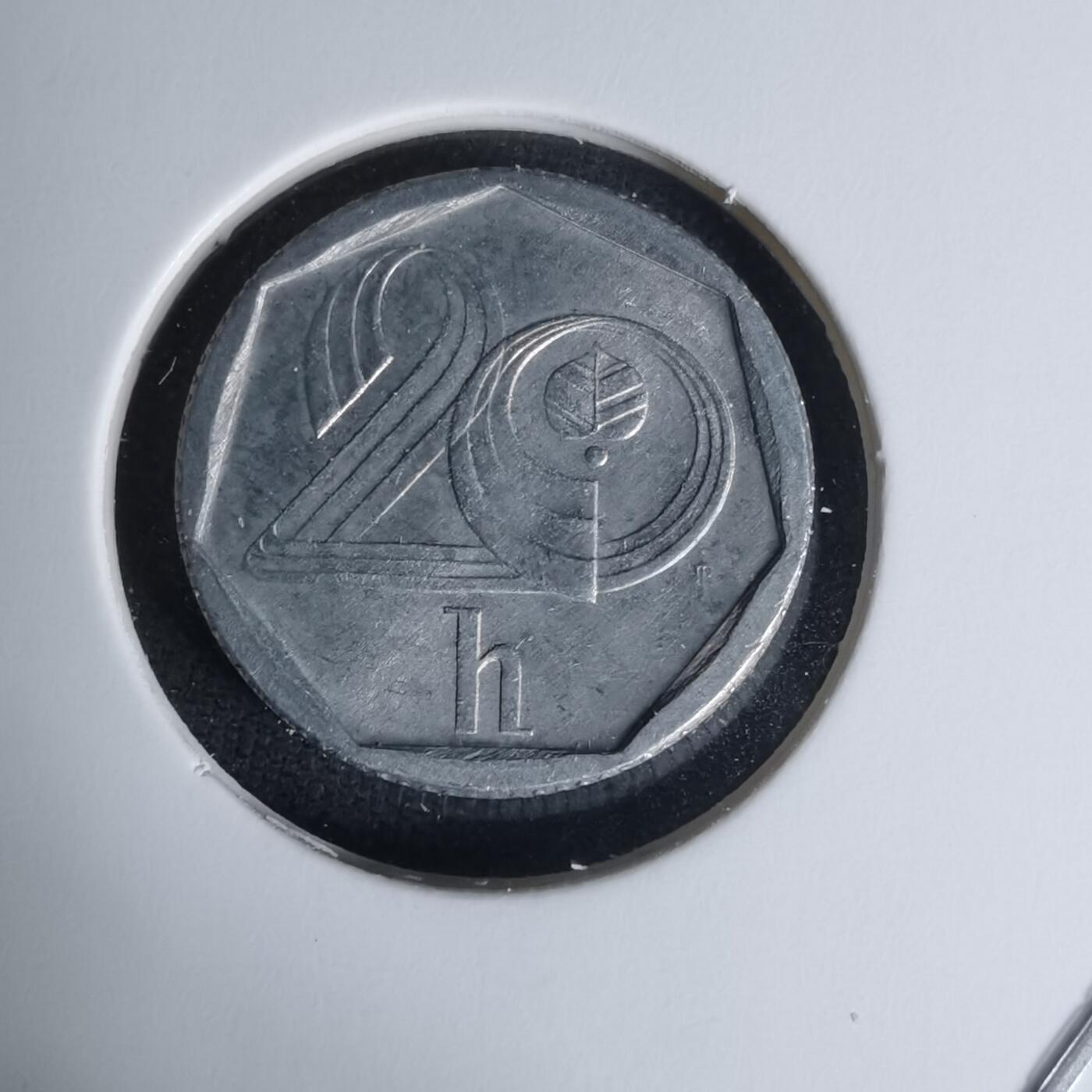 沼泽如烟--第1009场