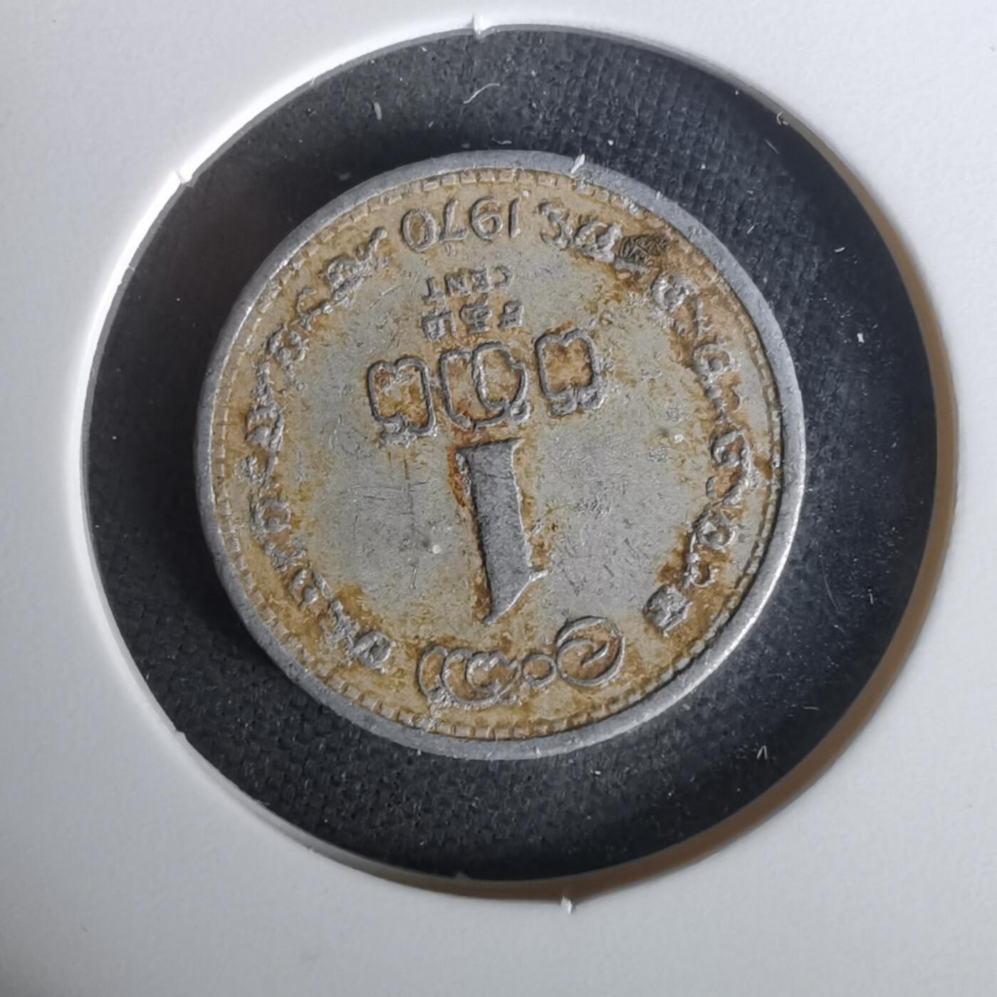 沼泽如烟--第1010场