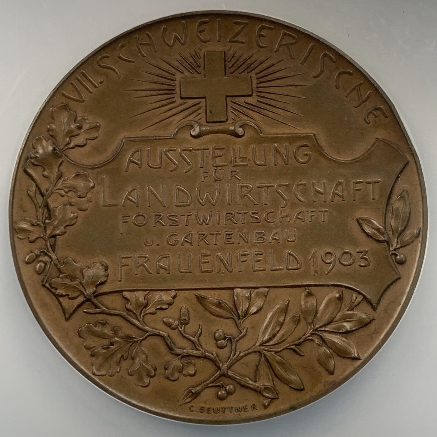 掌中浮雕-藏着的欧洲第053场 NGC MS64 : 1903年瑞士林业博览会纪念铜章，51mm