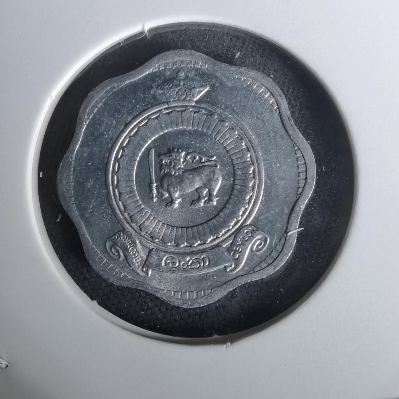 沼泽如烟--第1010场