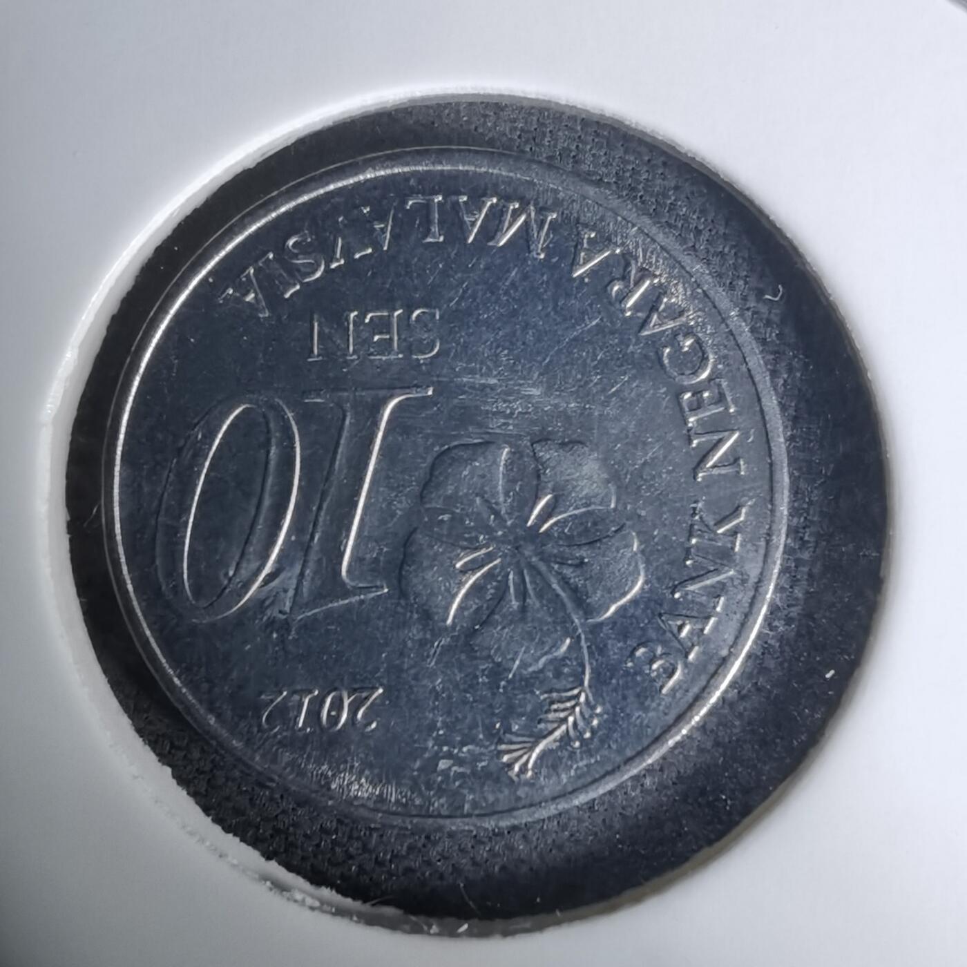 沼泽如烟--第1009场