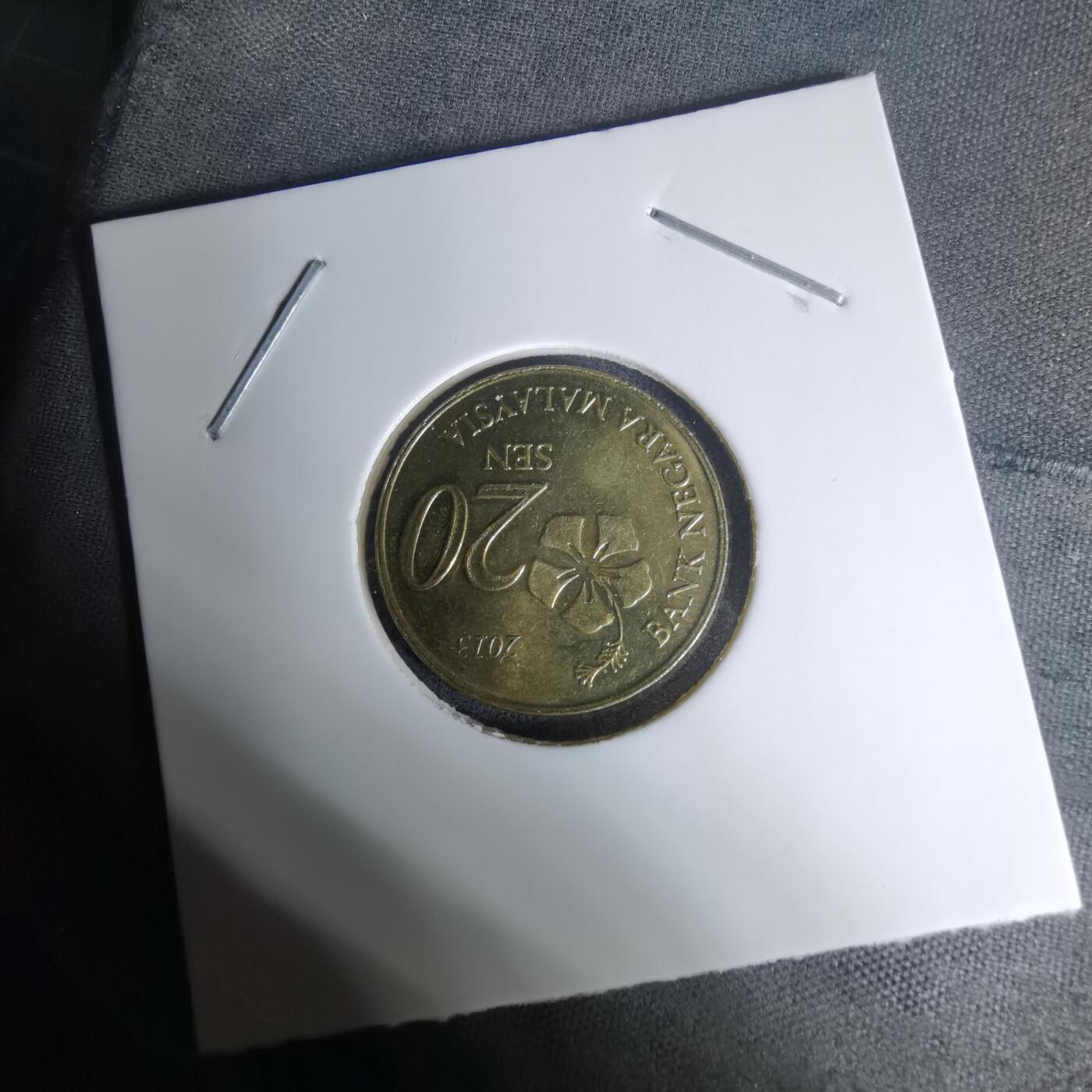 沼泽如烟--第1009场