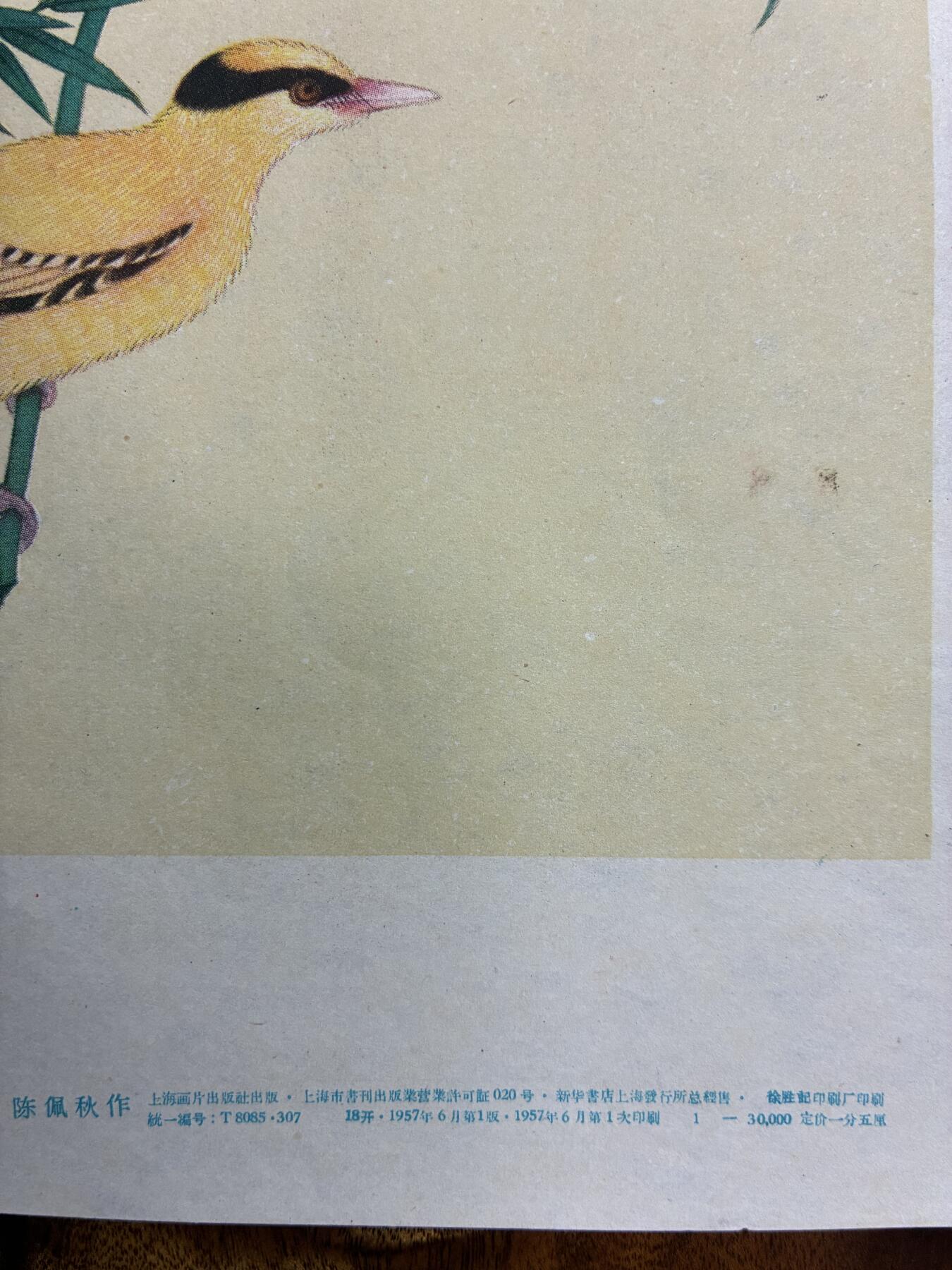 情怀旧藏儿时记忆经典收藏交流拍卖会 陈佩秋绘画翠竹黄莺老年画宣传画