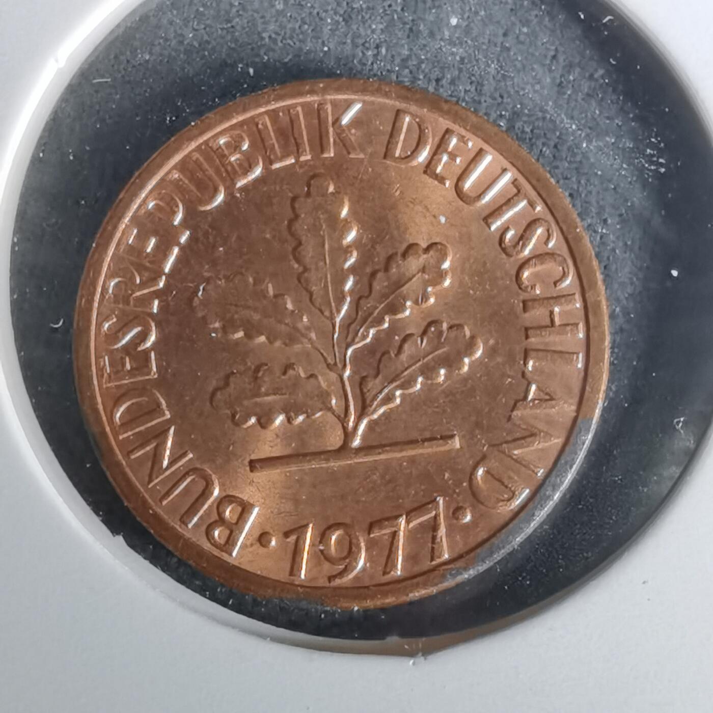 沼泽如烟--第1010场