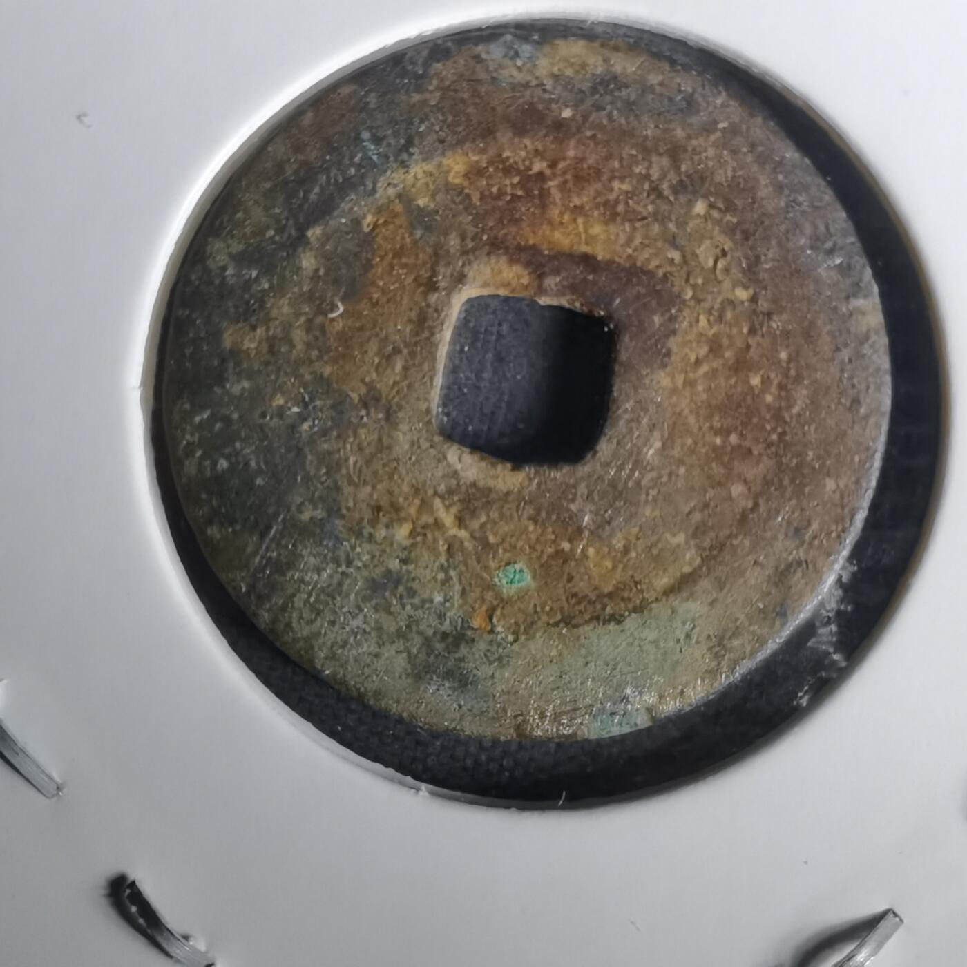 沼泽如烟--第1010场