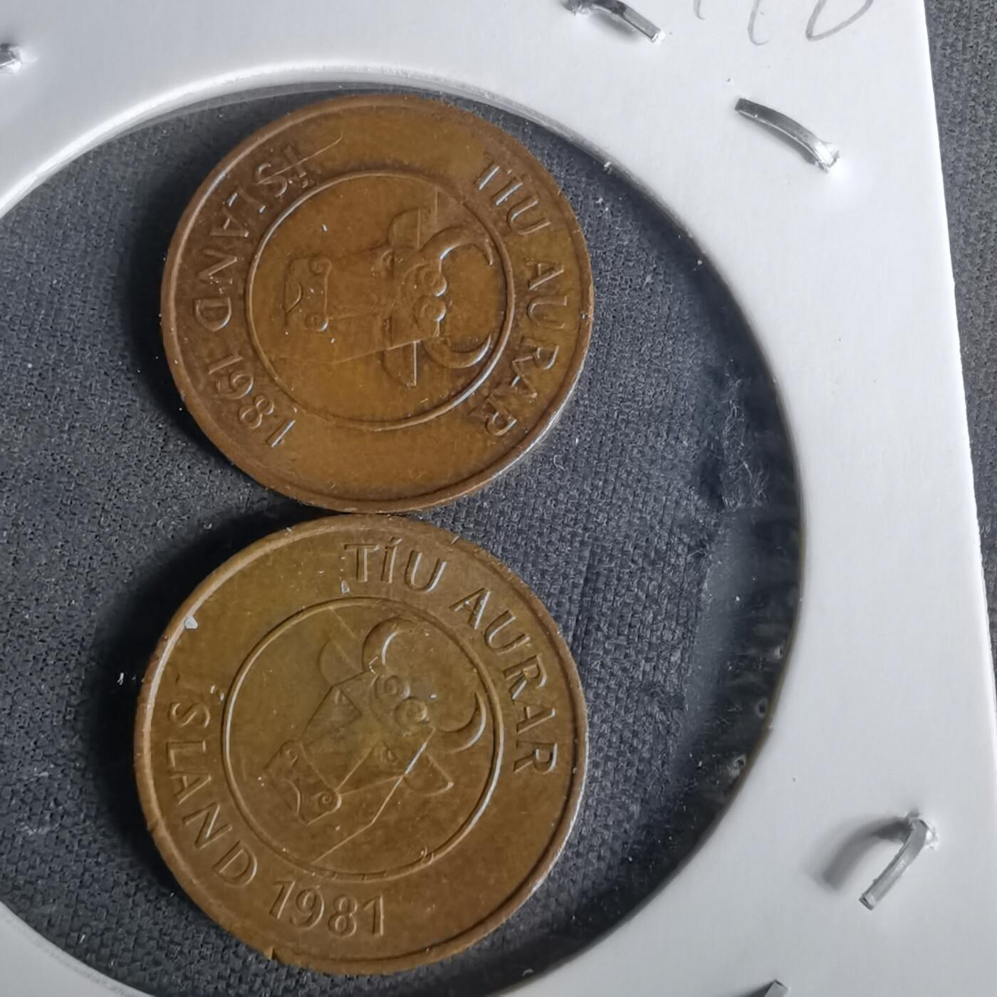 沼泽如烟--第1010场