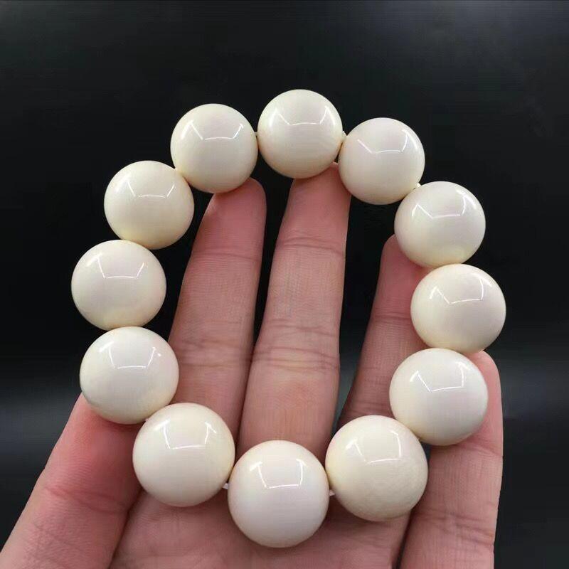 大尺寸深海贝壳手串