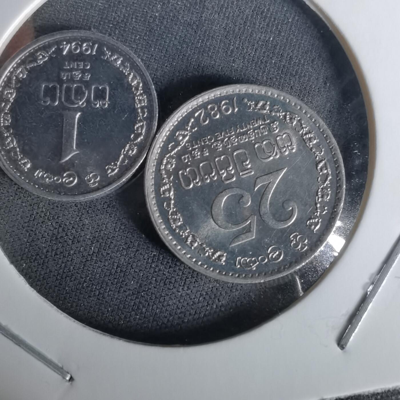 沼泽如烟--第1010场