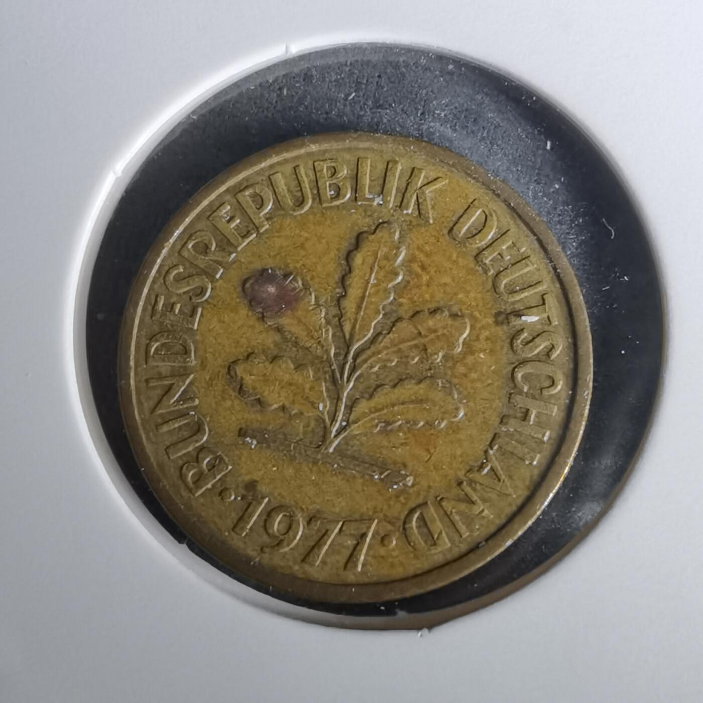 沼泽如烟--第1010场