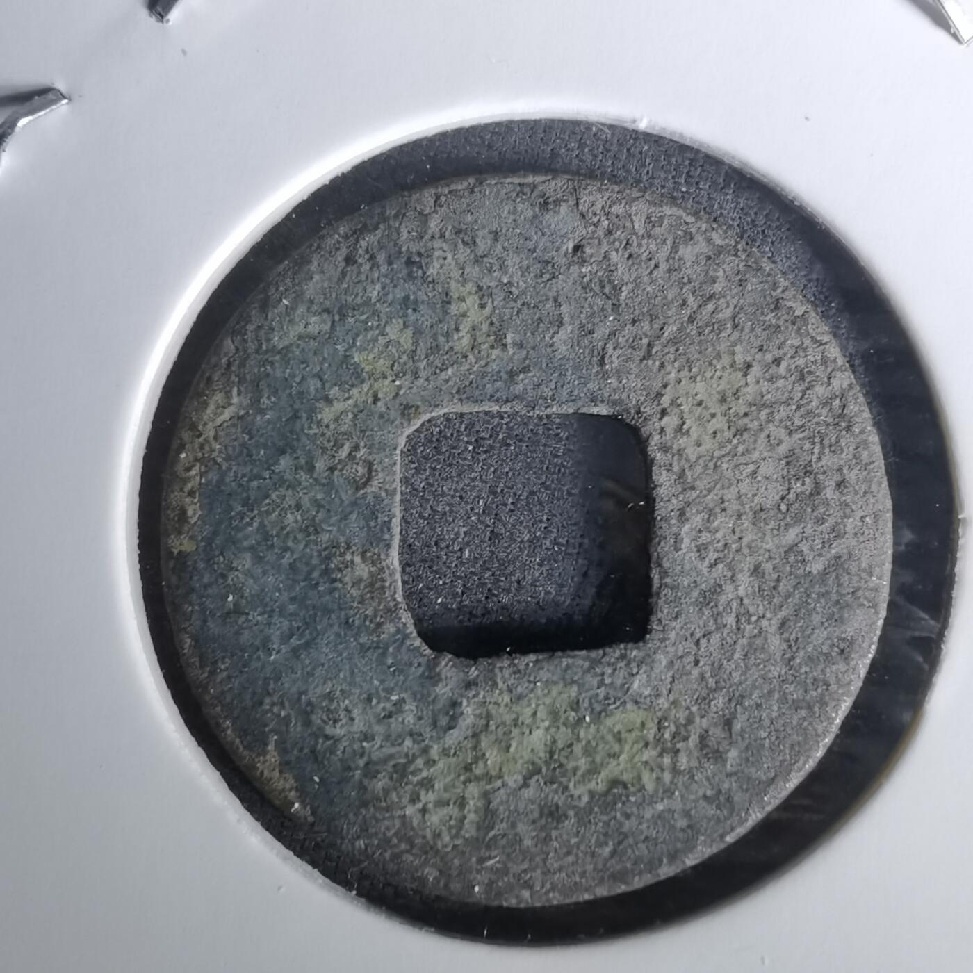 沼泽如烟--第1010场