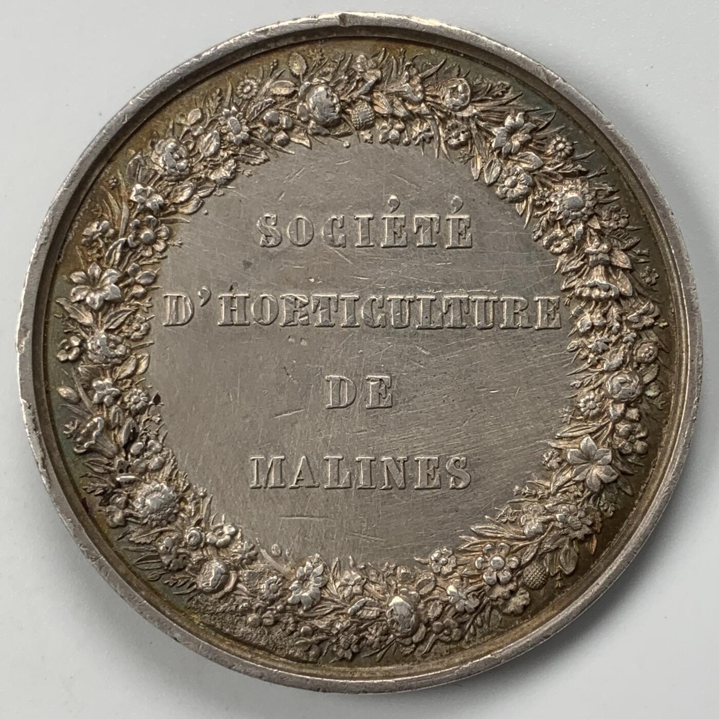 掌中浮雕-藏着的欧洲第053场 1847年比利时园艺协会银章，45.5mm，32.46g