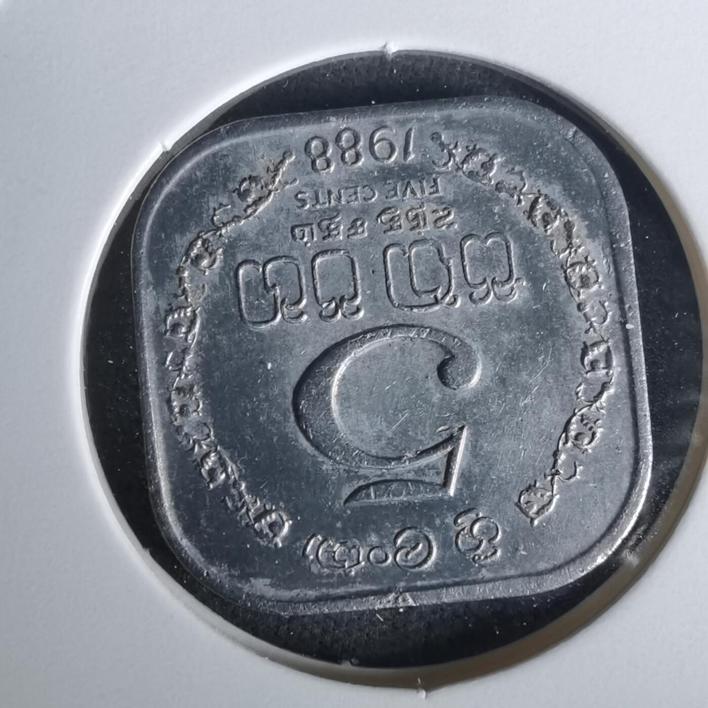 沼泽如烟--第1010场