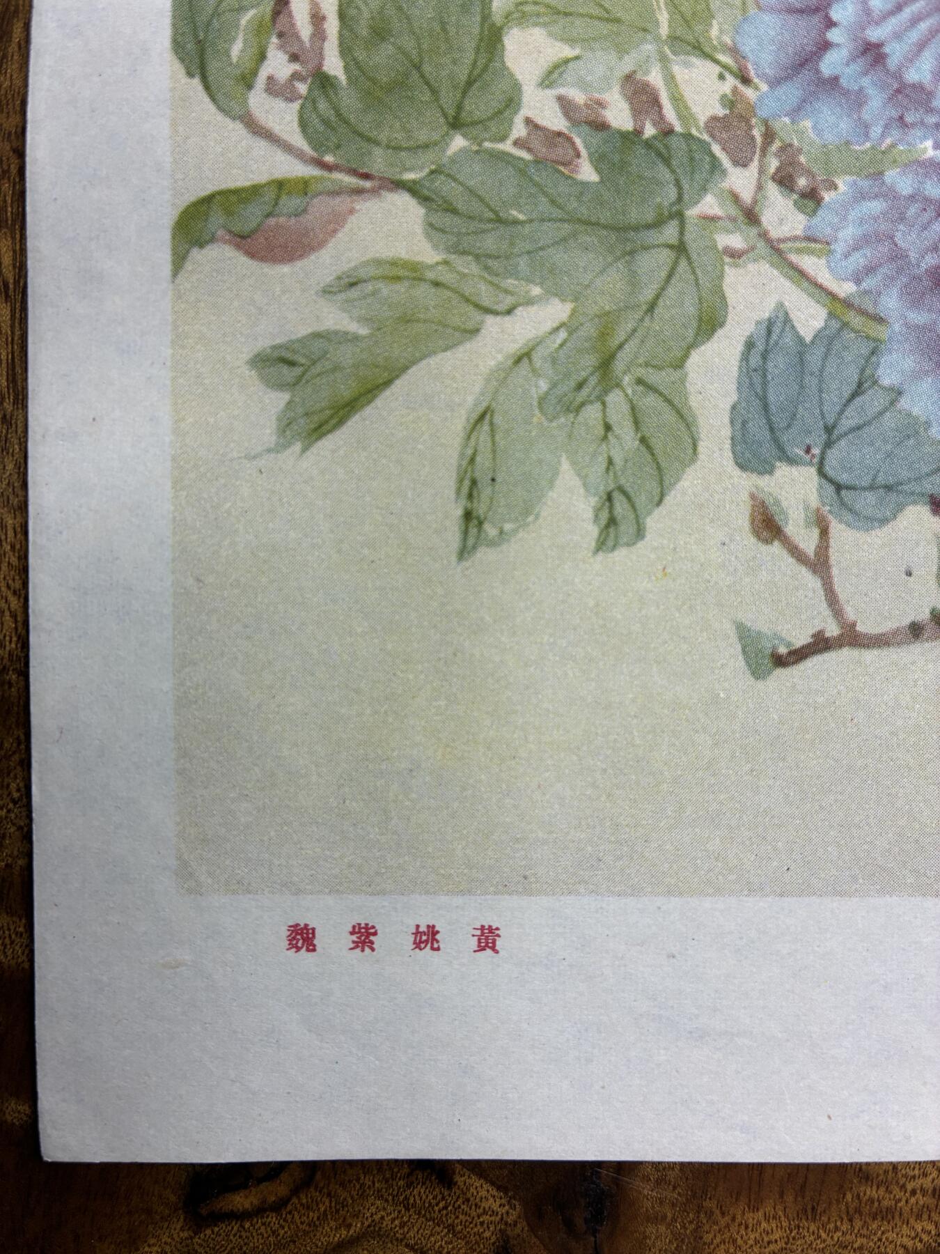 情怀旧藏儿时记忆经典收藏交流拍卖会 张大壮绘画魏紫姚黄老年画宣传画