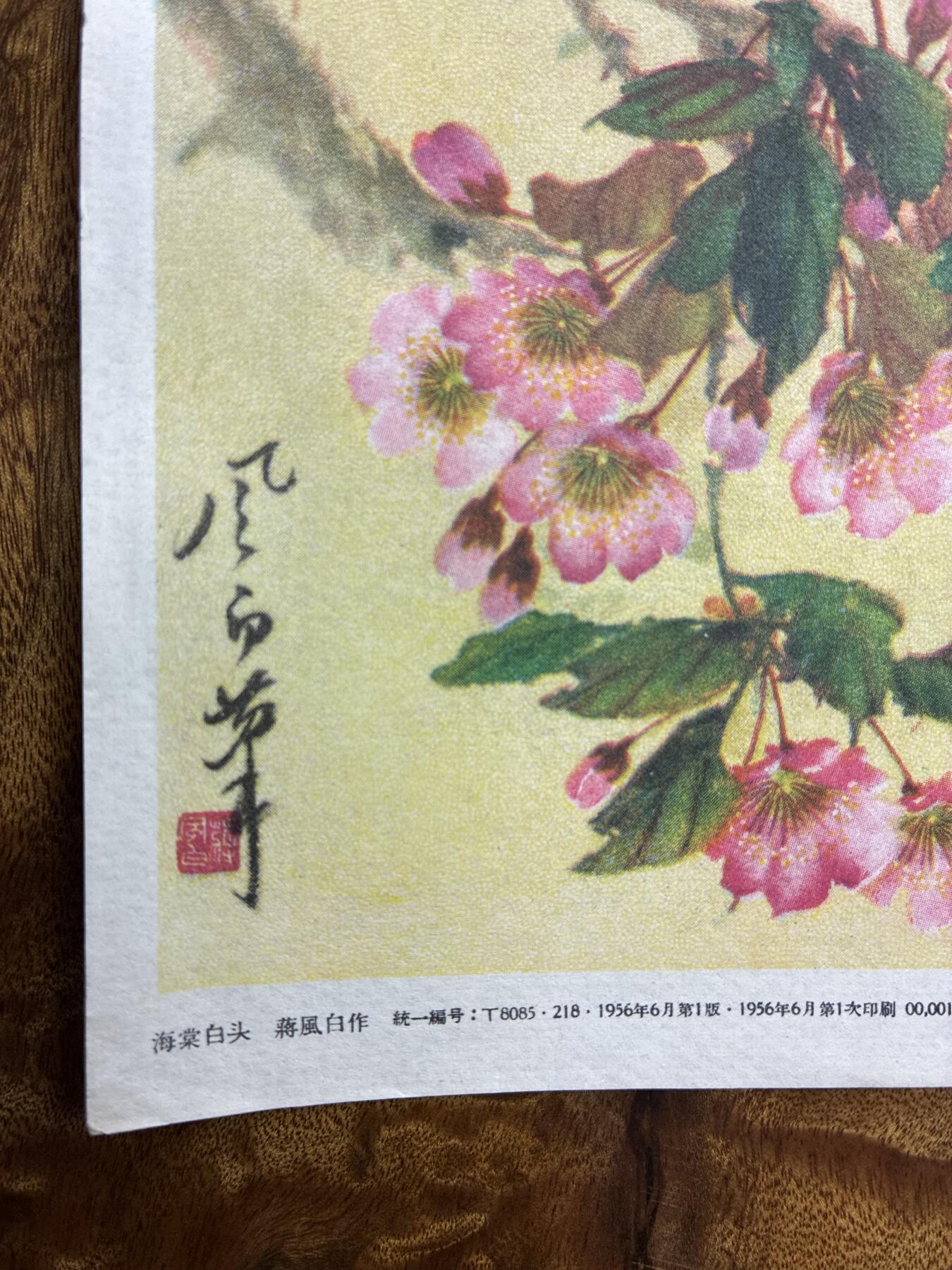 情怀旧藏儿时记忆经典收藏交流拍卖会 蒋風白绘画海棠白头老年画宣传画