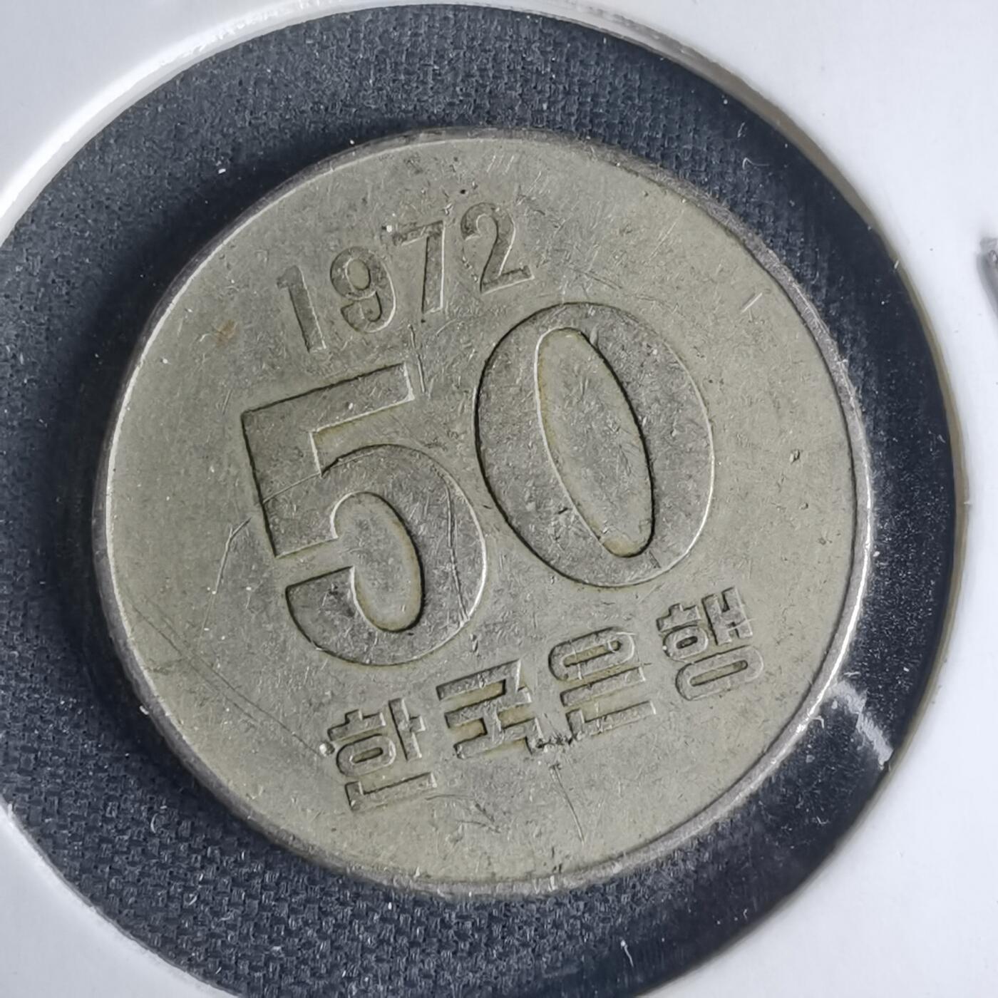 沼泽如烟--第1013场