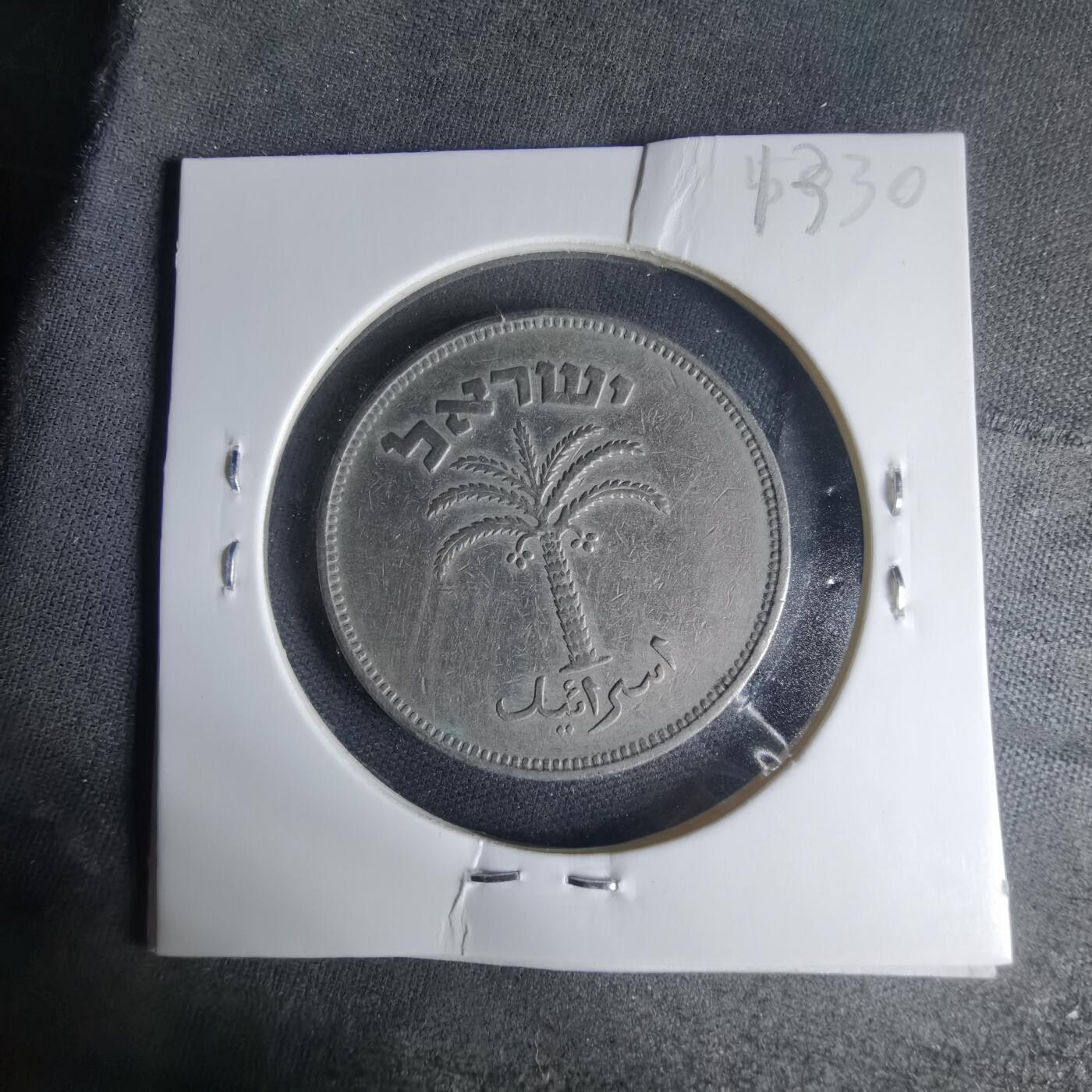 沼泽如烟--第1013场