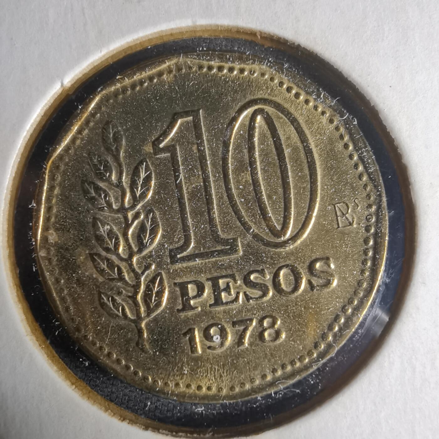 沼泽如烟--第1013场