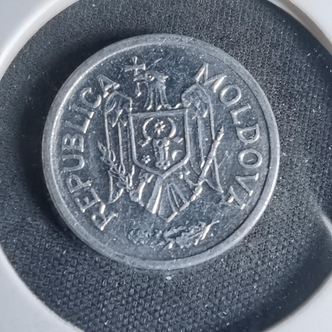 沼泽如烟--第1013场